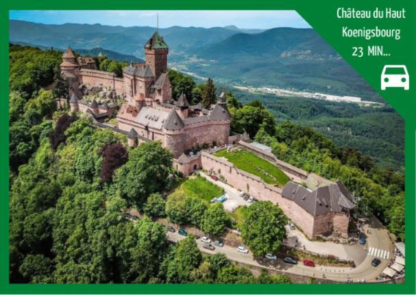 ❊ L'Ecrin Selestadien ❊ Sélestat Esterno foto