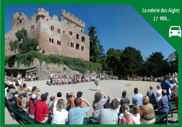 ❊ L'Ecrin Selestadien ❊ Sélestat Esterno foto